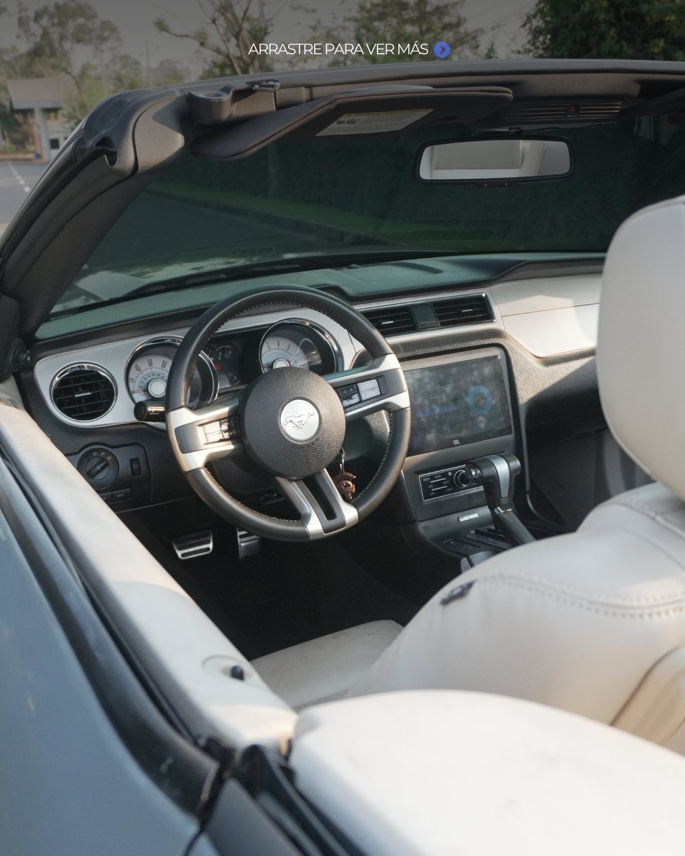 Ford Mustang 2010