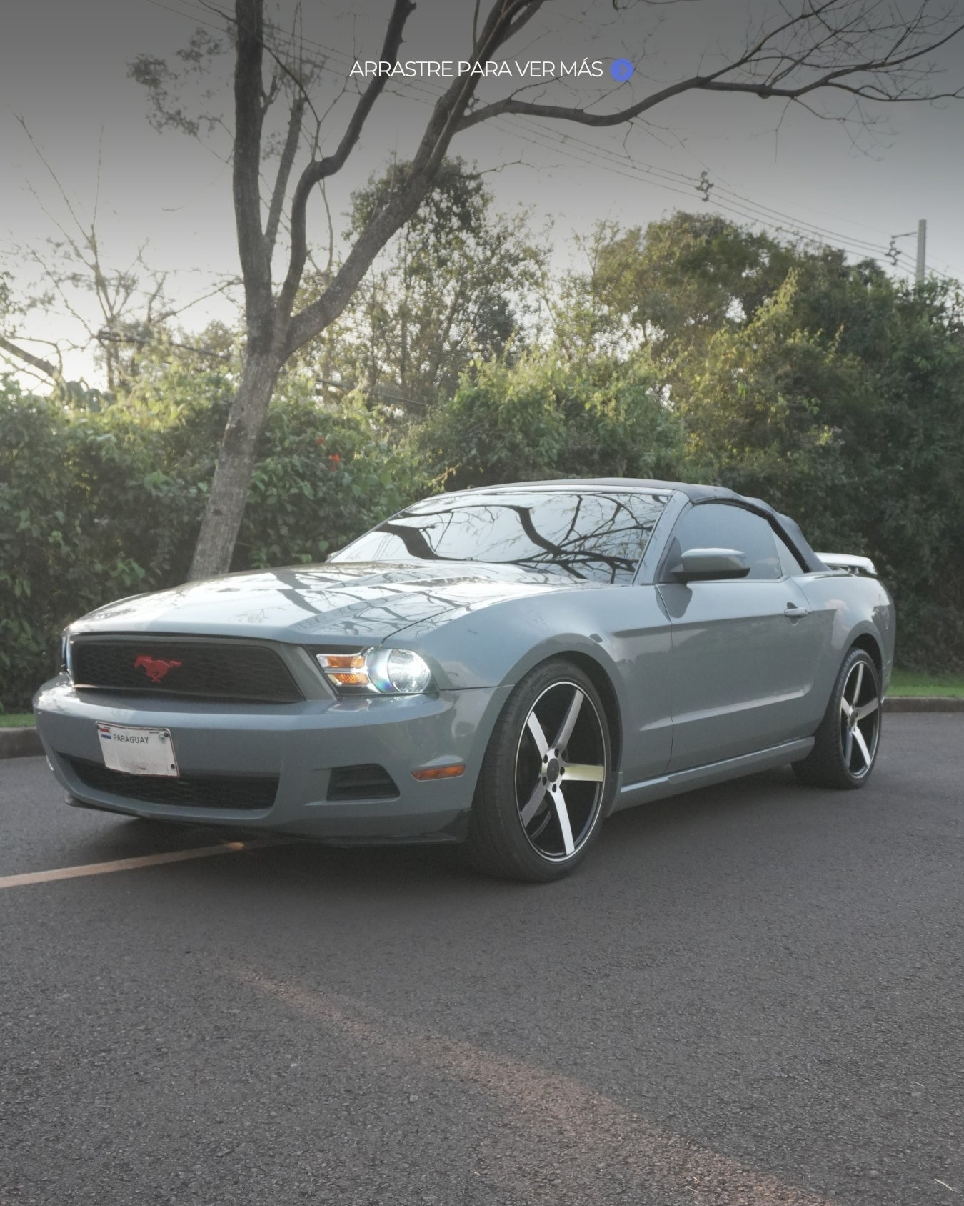 Ford Mustang 2010