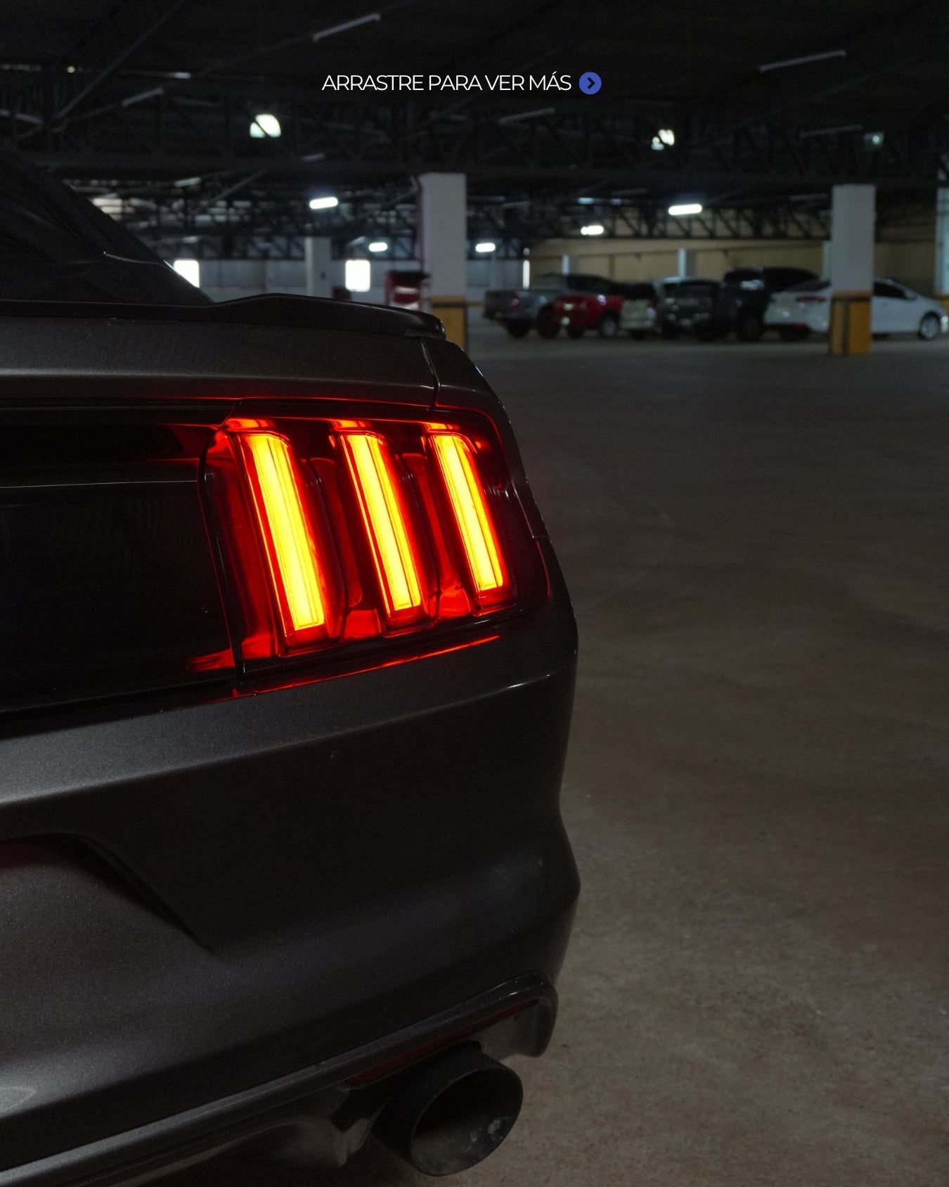 Ford Mustang GT | 2017 🐎
